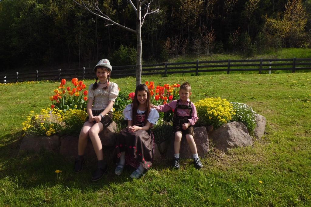 Gasserhof Chalets Mölten Dış mekan fotoğraf