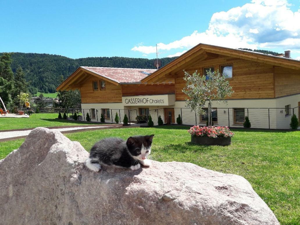 Gasserhof Chalets Mölten Dış mekan fotoğraf