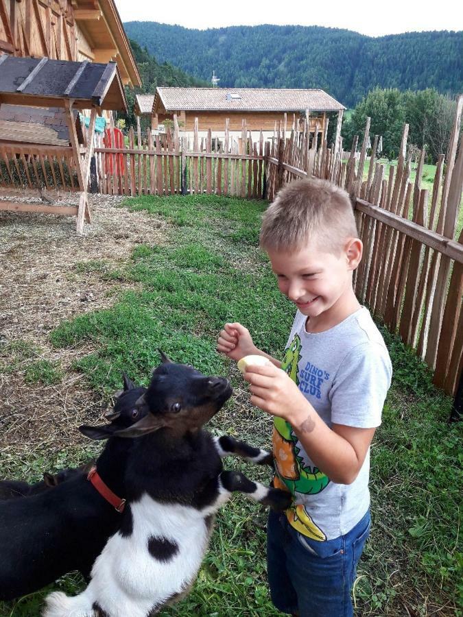 Gasserhof Chalets Mölten Dış mekan fotoğraf